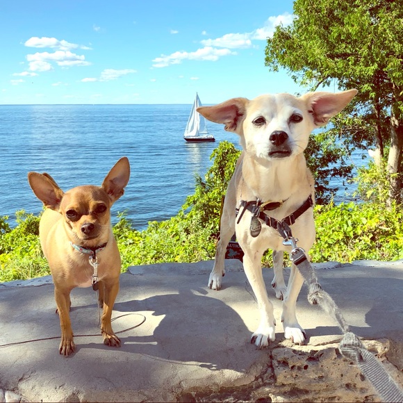 Meet your Posher, M.C. - Picture 1 of 1